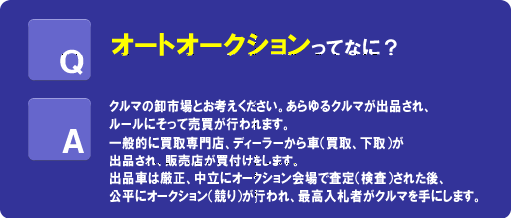 �I�[�g�I�[�N�V����
