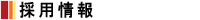�̗p���